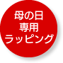 母の日特別ラッピング 山梨百貨店 2023年 母の日ギフト特集