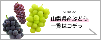 ぶどう 商品一覧 山梨百貨店