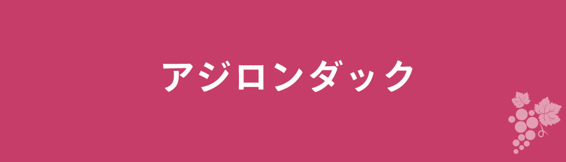 アジロンダック お酒 ワイン 山梨ワイン 甲州ワイン