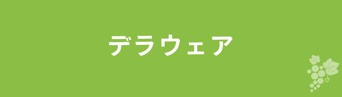 デラウェア お酒 ワイン 山梨ワイン 甲州ワイン