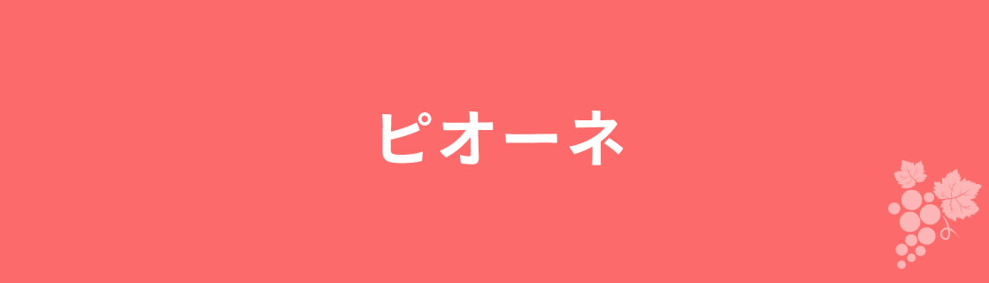 ピオーネ お酒 ワイン 山梨ワイン 甲州ワイン