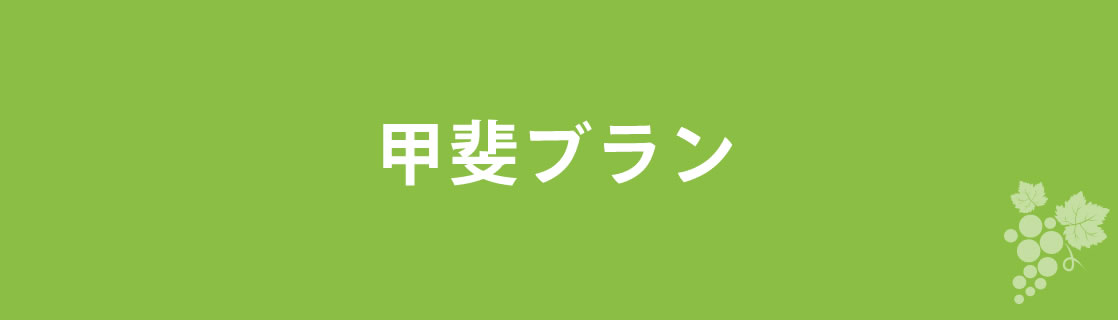 甲斐ブラン お酒 ワイン 山梨ワイン 甲州ワイン