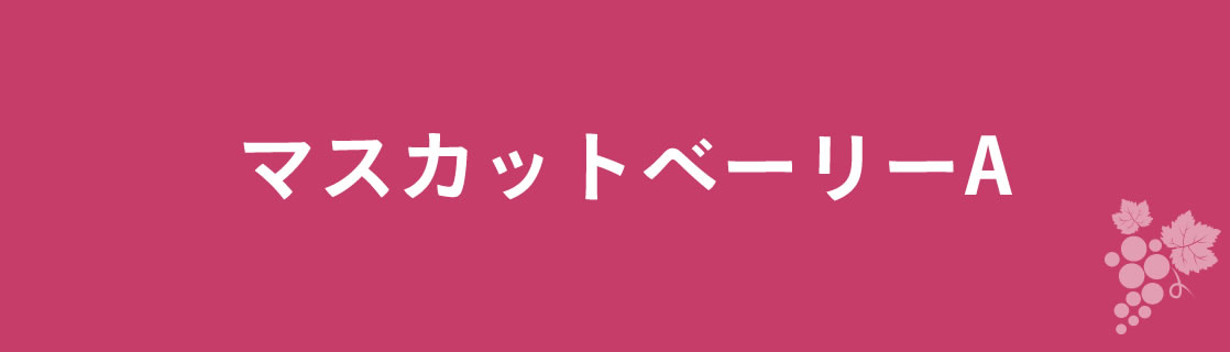 マスカットベーリーA お酒 ワイン 山梨ワイン 甲州ワイン