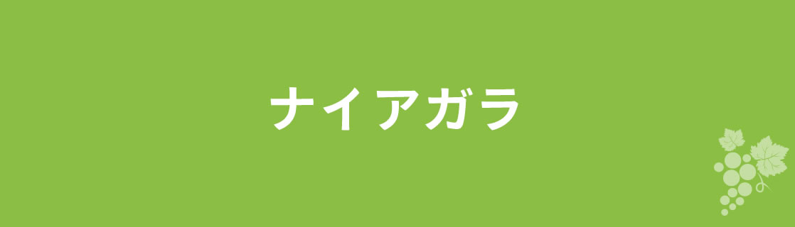 ナイアガラ お酒 ワイン 山梨ワイン 甲州ワイン