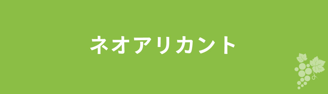 ネオアリカント お酒 ワイン 山梨ワイン 甲州ワイン