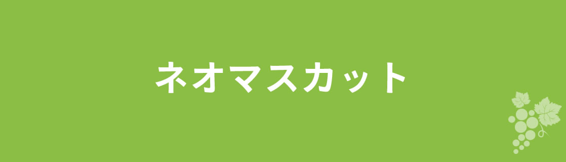 ネオマスカット お酒 ワイン 山梨ワイン 甲州ワイン