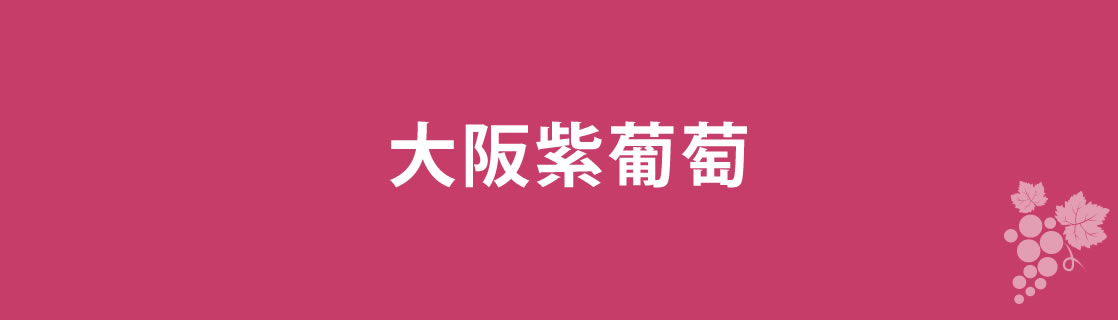 大阪紫葡萄 お酒 ワイン 山梨ワイン 甲州ワイン