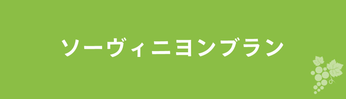 ソーヴィニヨンブラン お酒 ワイン 山梨ワイン 甲州ワイン