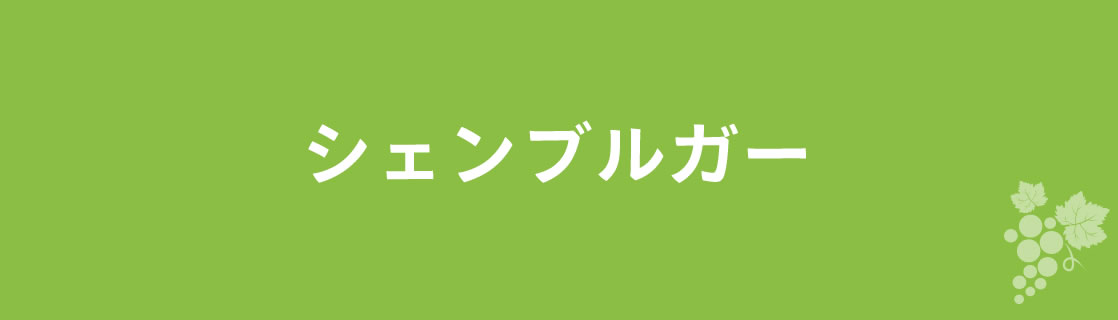 シェンブルガー お酒 ワイン 山梨ワイン 甲州ワイン