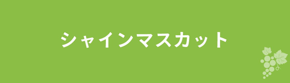 シャインマスカット お酒 ワイン 山梨ワイン 甲州ワイン