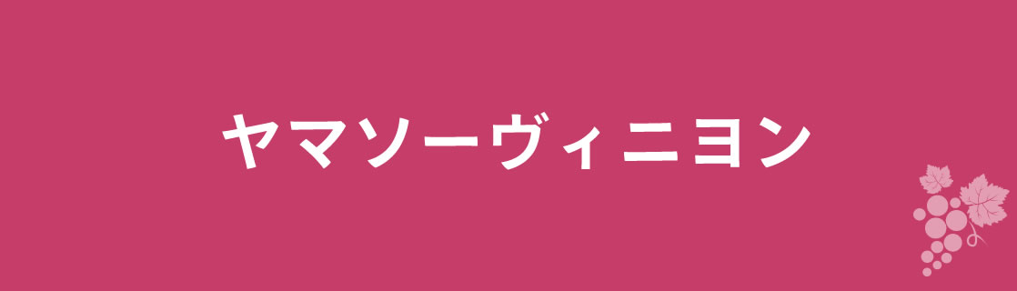 ヤマソーヴィニヨン お酒 ワイン 山梨ワイン 甲州ワイン