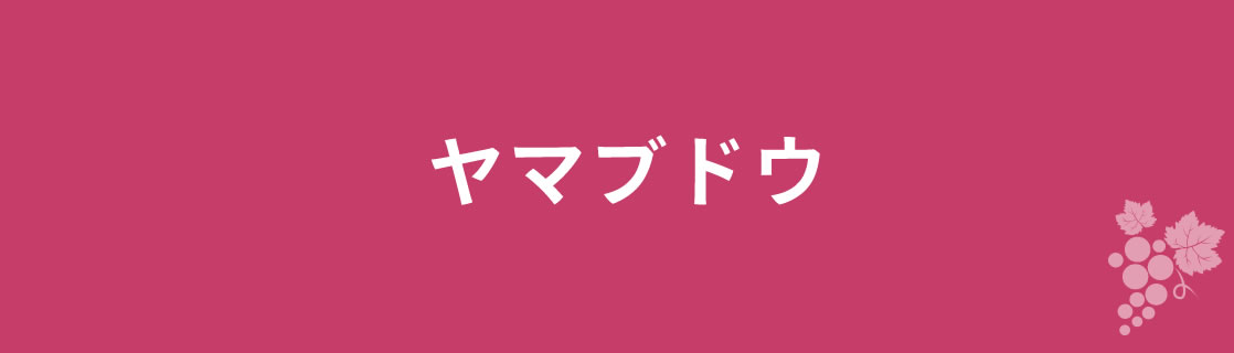 ヤマブドウ お酒 ワイン 山梨ワイン 甲州ワイン