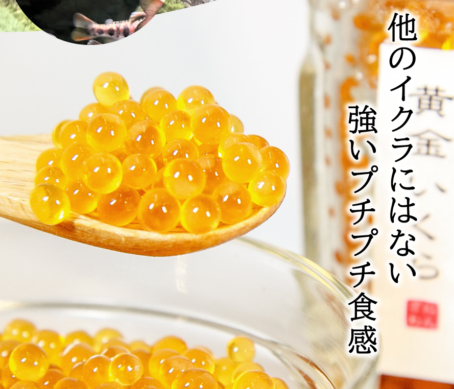 黄金いくら ヤマメ イワナ