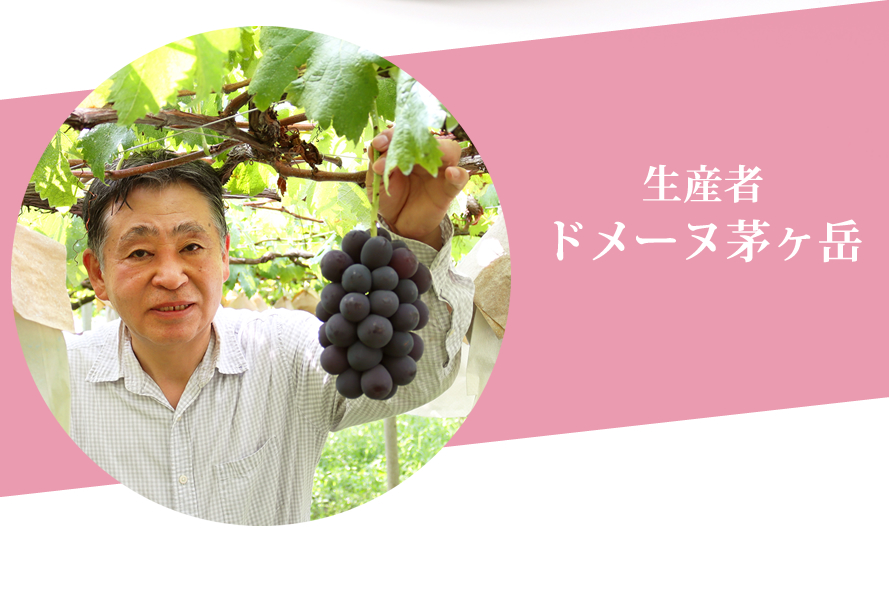 山梨県産ぶどう ドメーヌ茅ヶ岳