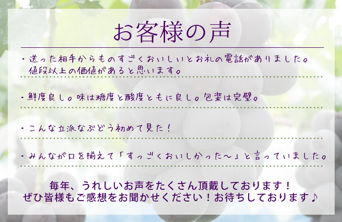 山梨県産 ぶどう ネット通販