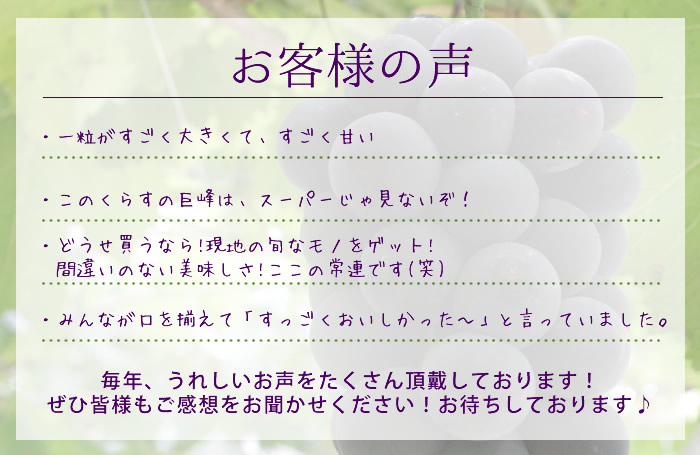 山梨県産 ぶどう ネット通販