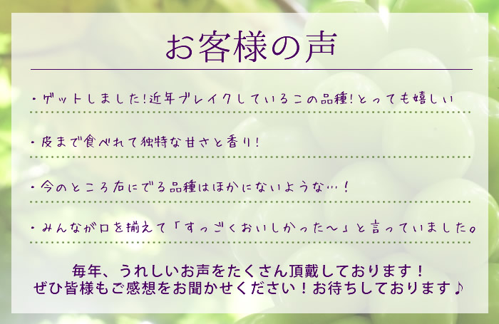 山梨県産 ぶどう ネット通販