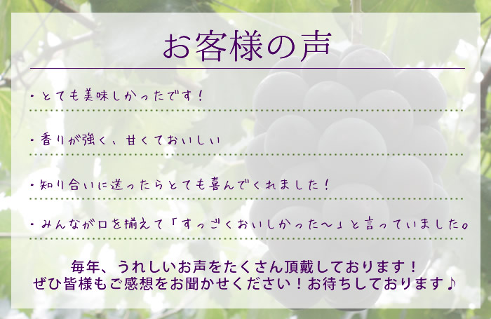 山梨県産 ぶどう ネット通販