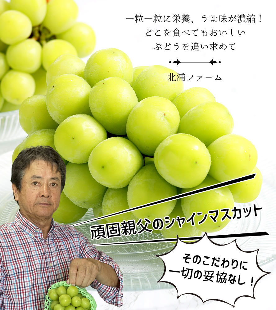 山梨百貨店 / 【送料無料】 シャインマスカット 1.8kg箱 (3房) 北浦