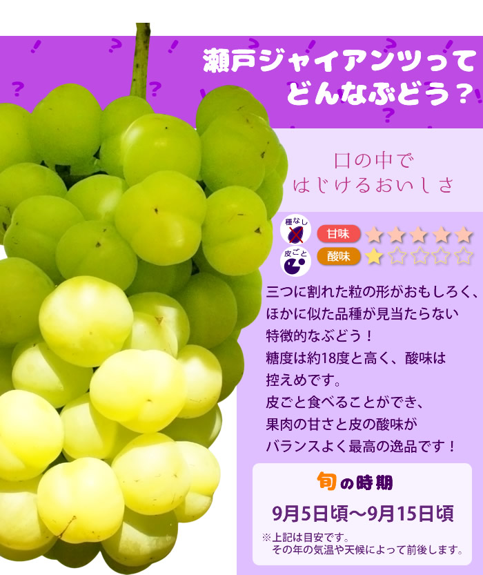 山梨県産 ぶどう ネット通販