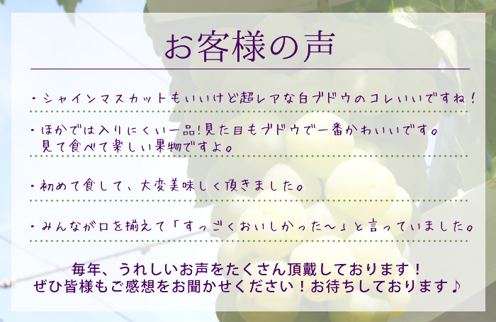 山梨県産 ぶどう ネット通販