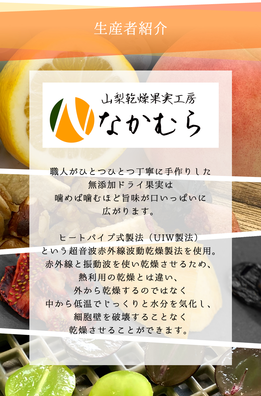 ドライフルーツ 山梨 乾燥ドライ果実