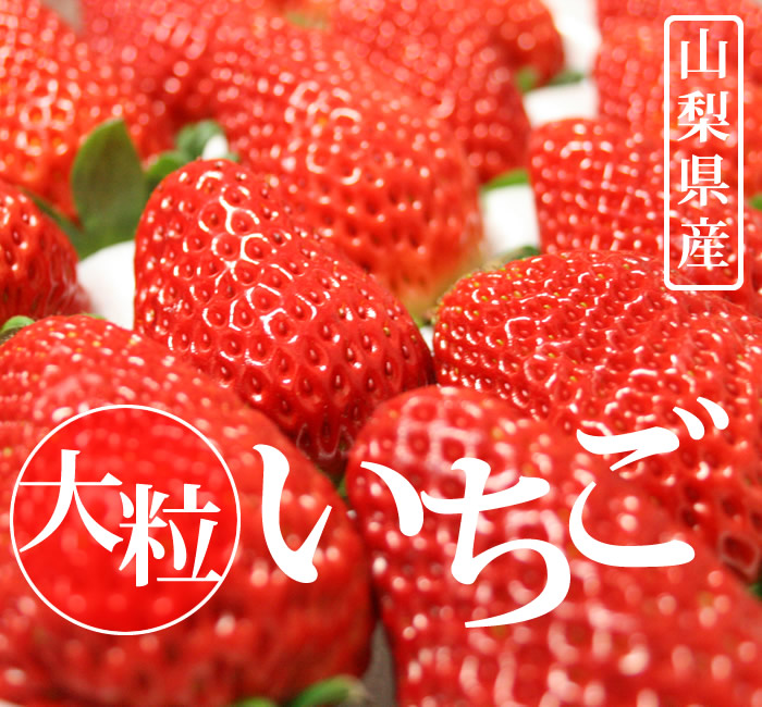 山梨県産 いちご 大粒