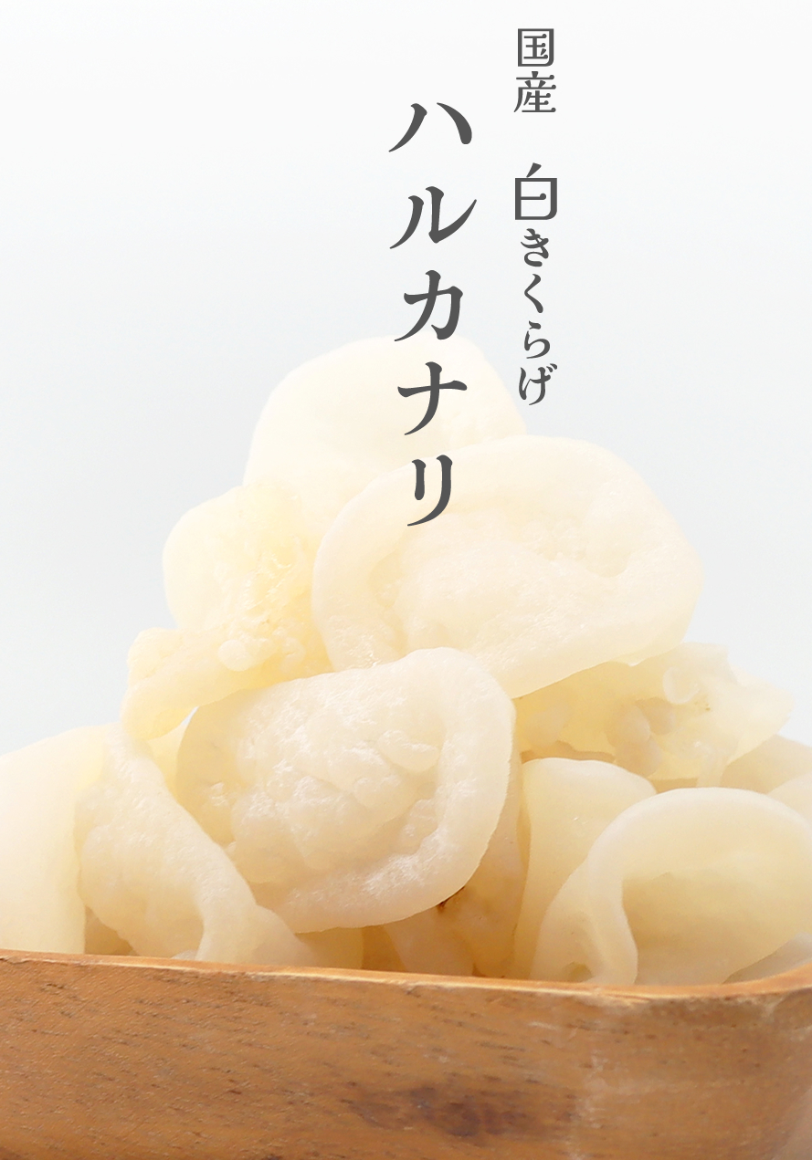 国産 山梨県産 白きくらげ ハルカナリ ウイズアップ