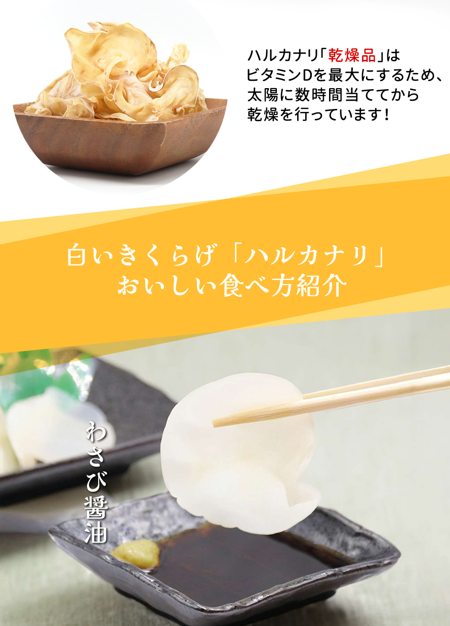 国産 山梨県産 白きくらげ ハルカナリ ウイズアップ