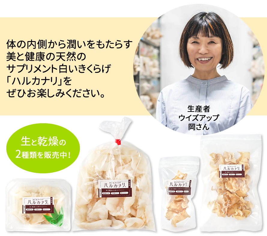 国産 山梨県産 白きくらげ ハルカナリ ウイズアップ