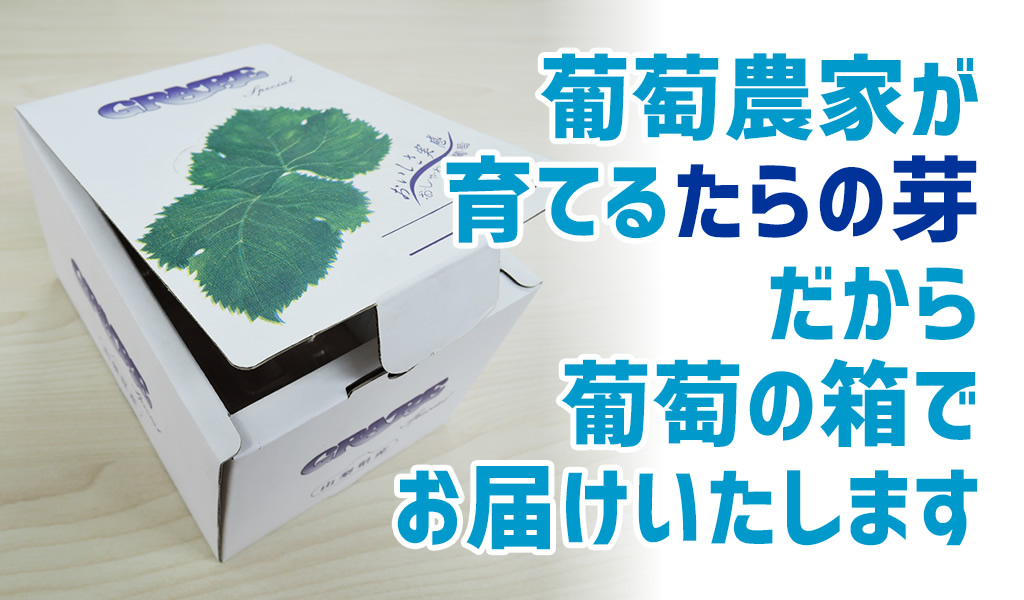 山菜 たらの芽