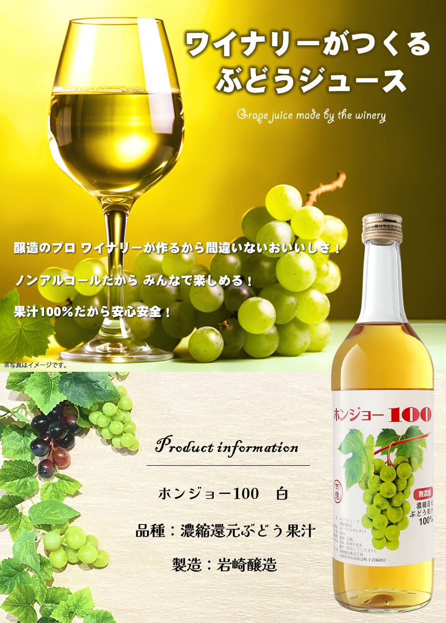 山梨ワイン 岩崎醸造 本醸ワイン ホンジョ―