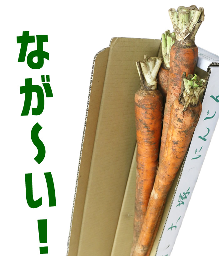 大塚にんじん 長いにんじん 山梨県産