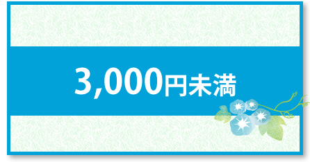 山梨県産 お中元 金額別 3000円未満 山梨百貨店