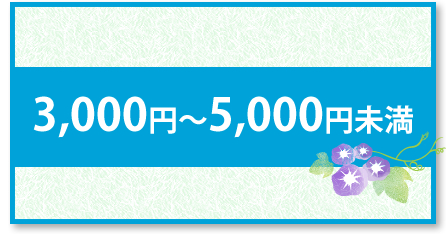 山梨県産 お中元 金額別 3000円～5000円未満 山梨百貨店