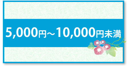 山梨県産 お中元 金額別 5000円～10000円未満 山梨百貨店