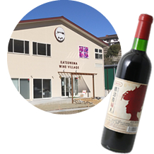 東夢ワイナリー 生産者紹介 山梨百貨店