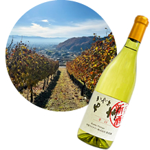 甲斐ワイナリー 生産者紹介 山梨百貨店