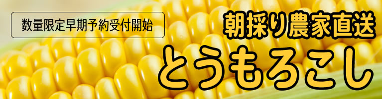 山梨県産 とうもろこし きみひめ 甘々娘 ゴールドラッシュ 山梨百貨店