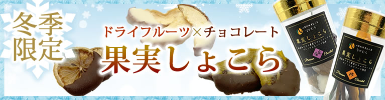 山梨県産 ドライフルーツ チョコ 山梨百貨店