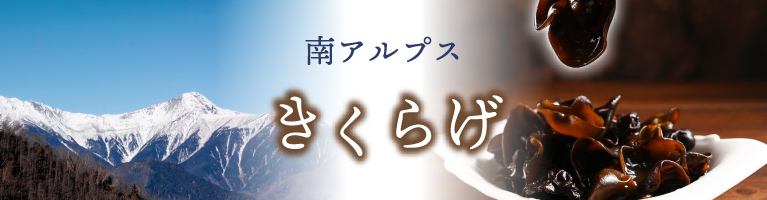 山梨県産 きくらげ 生きくらげ 乾燥きくらげ 山梨百貨店