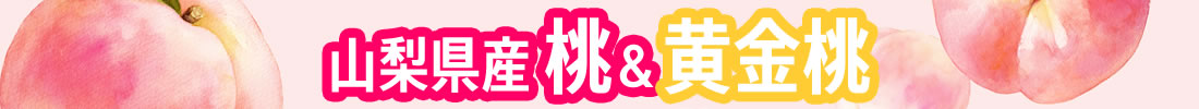 山梨県産 桃 黄金桃 山梨百貨店