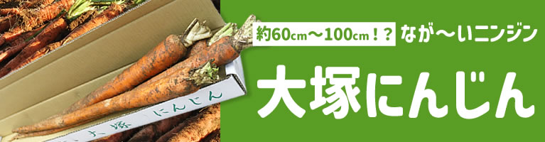 山梨県産 大塚にんじん 長いニンジン