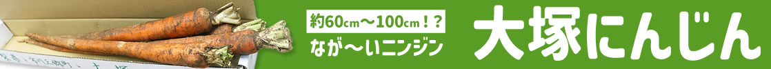山梨県産 大塚にんじん 長いニンジン