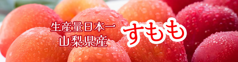 山梨県産 すもも 貴陽 ソルダム 山梨百貨店