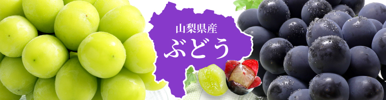 山梨県産 ぶどう シャインマスカット 藤稔 巨峰 ピオーネ