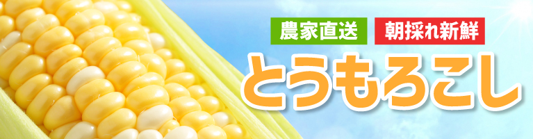 山梨県産 とうもろこし きみひめ 甘々娘 ゴールドラッシュ