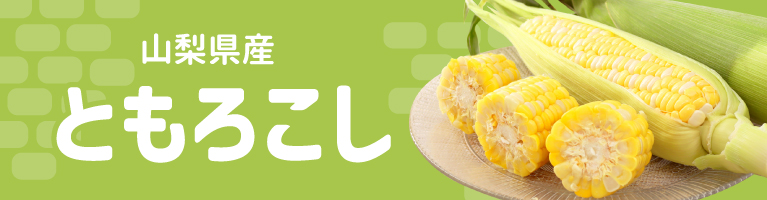 山梨県産 とうもろこし きみひめ 甘々娘 ゴールドラッシュ ヤングコーン 山梨百貨店