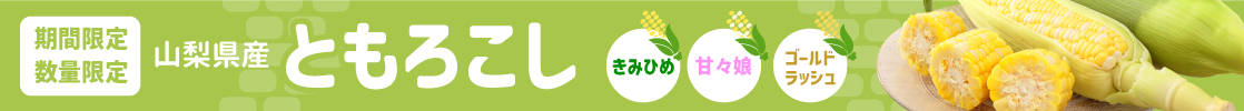 山梨県産 とうもろこし きみひめ 甘々娘 ゴールドラッシュ ヤングコーン 山梨百貨店