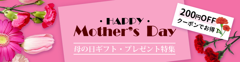 母の日ギフト プレゼント 山梨百貨店